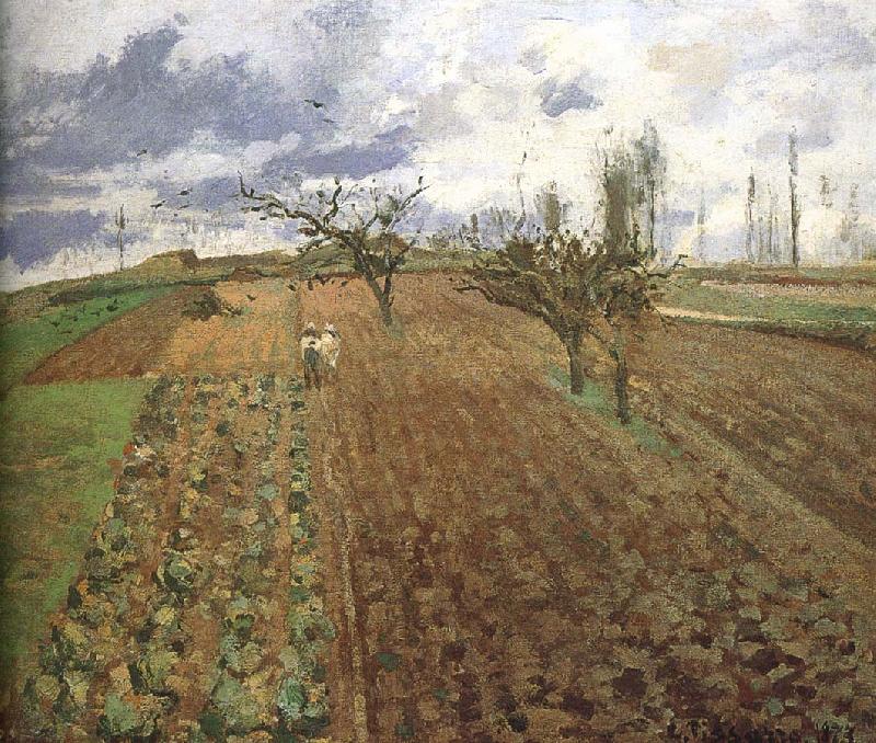 Camille Pissarro Farmland Germany oil painting art